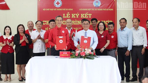 Đà Nẵng: Phối hợp giúp người khó khăn phát triển sinh kế bền vững