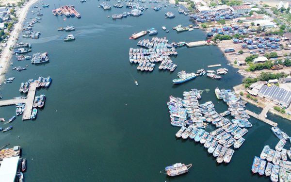 Đà Nẵng quy hoạch chuyển đổi chức năng cảng cá Thọ Quang