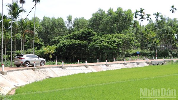 Đà Nẵng tập trung giải ngân vốn Chương trình mục tiêu quốc gia