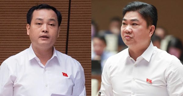 Đại biểu Quốc hội: Không phải cứ nhận tội, bồi thường tiền là được giảm án sâu