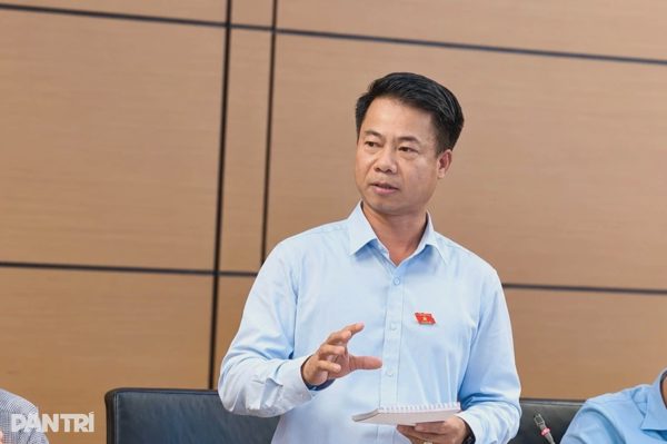 Đại biểu Quốc hội: Nông thôn khan hiếm thợ xây, thợ điện