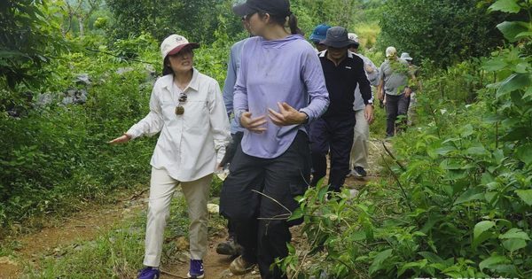 Đại sứ Mỹ băng rừng đến hiện trường tìm kiếm quân nhân mất tích tại Quảng Trị