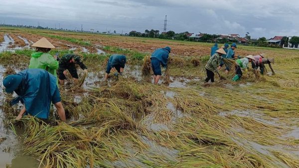 Đắk Lắk chủ động ứng phó, khắc phục hậu quả mưa lớn, ngập lụt, lũ quét, sạt lở đất
