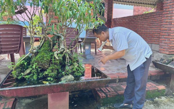 Đắk Lắk đã có 3 người chết vì sốt xuất huyết