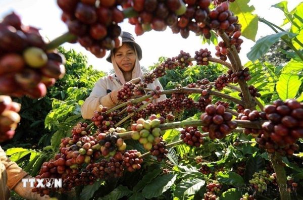 Đắk Lắk đổi mới, nâng cao hiệu quả thu hút đầu tư giai đoạn 2026-2030
