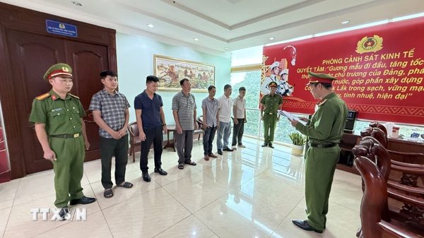 Đắk Lắk: Khởi tố 9 cán bộ quản lý bảo vệ rừng 'mở đường' cho gỗ lậu