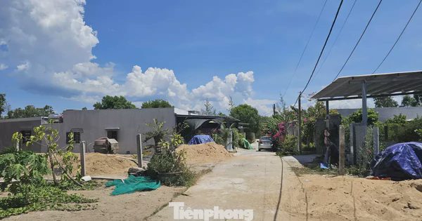 Đắk Lắk lập đoàn kiểm tra vụ xây cả 'khu dân cư' trái phép trên đất rừng trồng