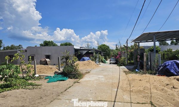 Đắk Lắk lập đoàn kiểm tra vụ xây cả 'khu dân cư' trái phép trên đất rừng trồng