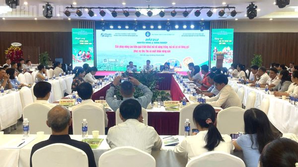 Đắk Lắk: Nâng cao hiệu quả triển khai mã số vùng trồng, mã số cơ sở đóng gói phục vụ tiêu thụ và xuất khẩu nông sản