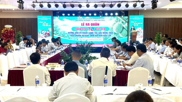 Đắk Lắk ra quân chiến dịch 30 ngày đêm hướng dẫn kỹ thuật canh tác cây sầu riêng theo tiêu chuẩn VietGAP