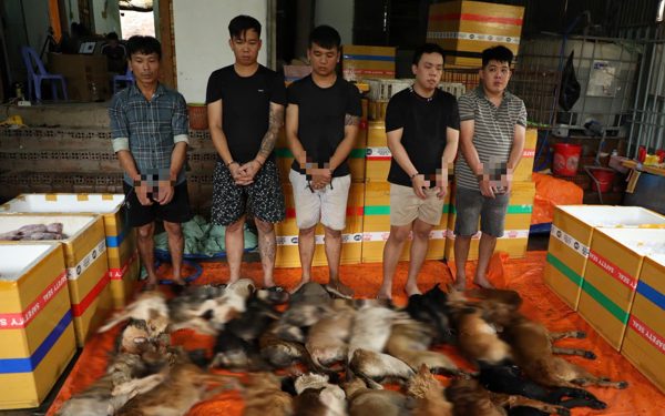 Dân phản ánh mất chó, công an phát hiện căn nhà quây kín, bắt nhóm trộm chó chuyên nghiệp