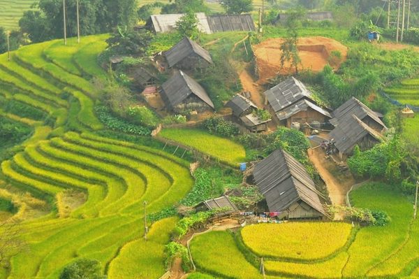 Dân trí tổ chức tọa đàm “Phát triển nông nghiệp miền núi bền vững”