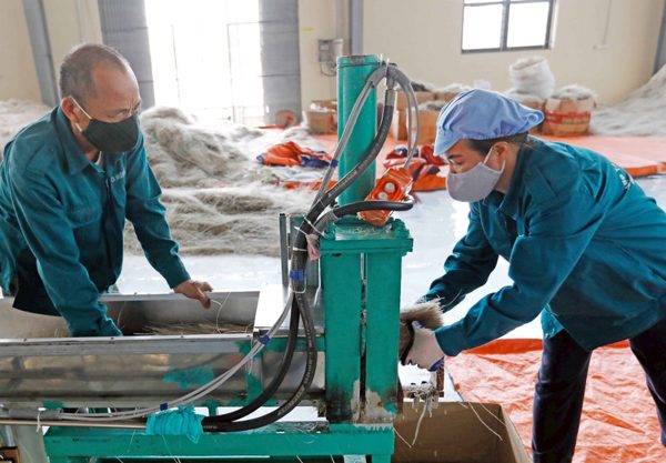 Đảng viên làm kinh tế: Khơi thông nguồn lực, phát huy vai trò tiên phong