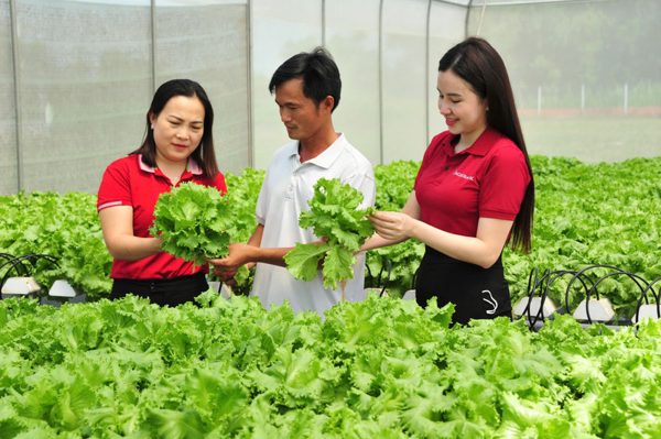 Đảng viên tham gia đầu tư kinh doanh: Từ thay đổi tư duy đến động lực bứt phá