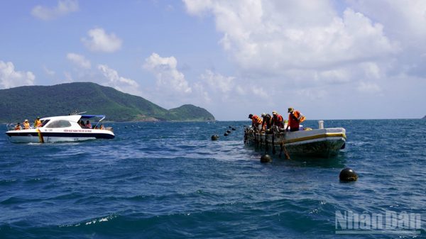 Đánh giá, khảo sát thực tế ngành lâm, thủy sản tại Côn Đảo