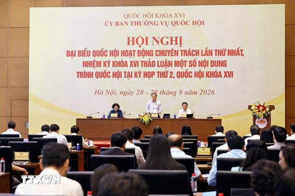 Đánh giá kỹ lưỡng về mức phạt tiền và các biện pháp cưỡng chế thi hành quyết định xử phạt hành chính