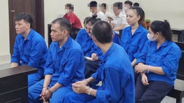 Đánh giá kỹ tác động với đề xuất mở rộng đối tượng hiến mô, tạng