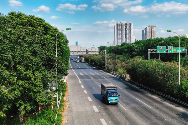 Danh sách 18 loại cây Hà Nội cấm trồng nơi công cộng, có trúc đào, trứng cá, dâu da
