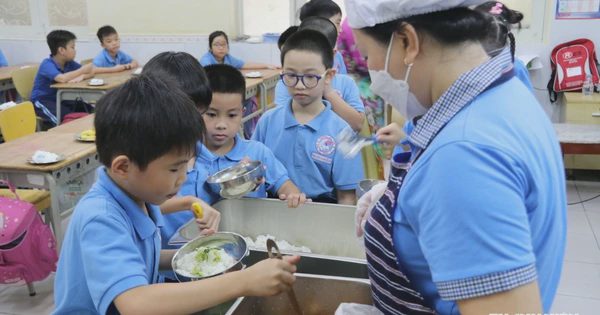 Danh sách khoản thu được cho phép trong trường tiểu học TP.HCM năm học 2026 - 2027