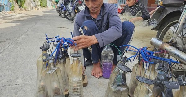 Danh thắng đầm Ô Loan: Lạ kỳ đèn dầu gọi tôm