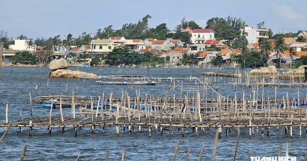 Danh thắng đầm Ô Loan: Vang danh sò huyết, cua huỳnh đế và giai thoại một vị vua