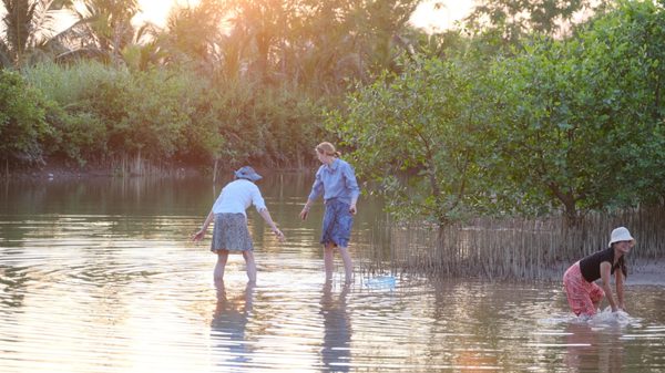 Đánh thức miền Ramsar