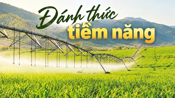 Đánh thức tiềm năng