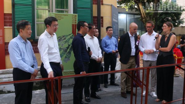 Đánh thức trách nhiệm mỗi người về cây xanh Hà Nội