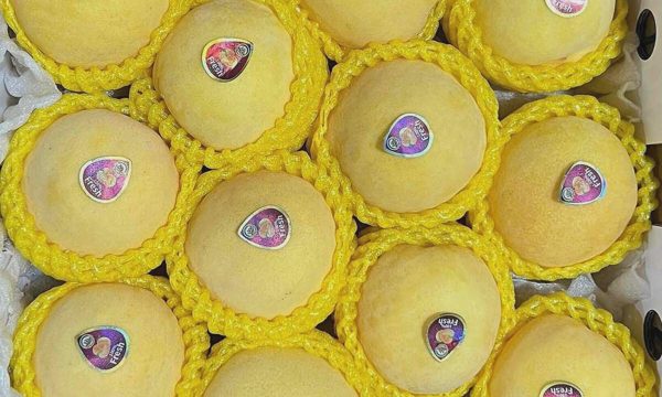 Đào ngoại ồ ạt vào Việt Nam