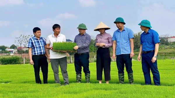 Đào tạo nghề cho lao động nông thôn