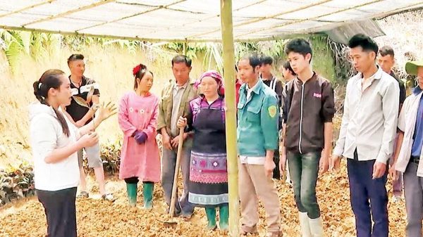 Đào tạo nghề gắn với nhu cầu, tạo cơ hội việc làm