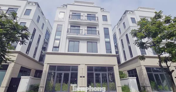 Đất bỏ hoang có thể chịu thuế 0,2%: Thí điểm trước khi áp dụng rộng rãi