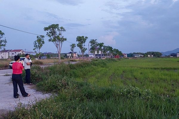 Đất đấu giá hơn 3 tỷ đồng/lô không ai đăng ký, dự kiến giảm giá khoảng 1 tỷ