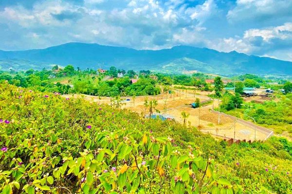 Đất lấn, chiếm có được trừ vào hạn mức khi tính tiền sử dụng đất?