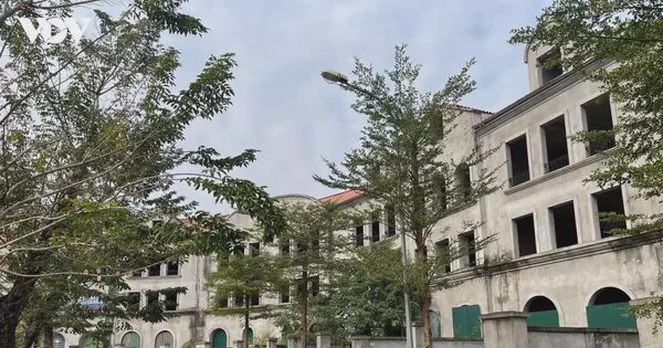 Đất trong bao lâu không sử dụng thì bị coi là bỏ hoang?