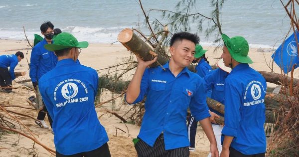 Dấu ấn chiến dịch ‘Mùa hè xanh’