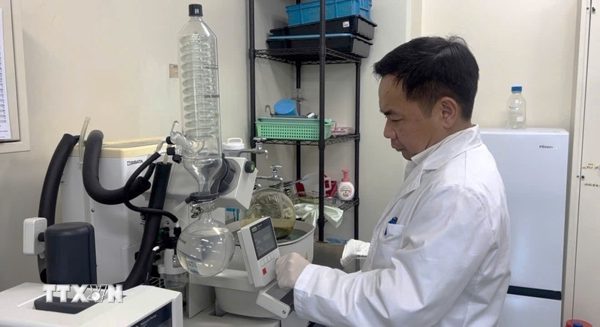 Dấu ấn trên bảng xếp hạng khoa học và những đóng góp hướng về Việt Nam