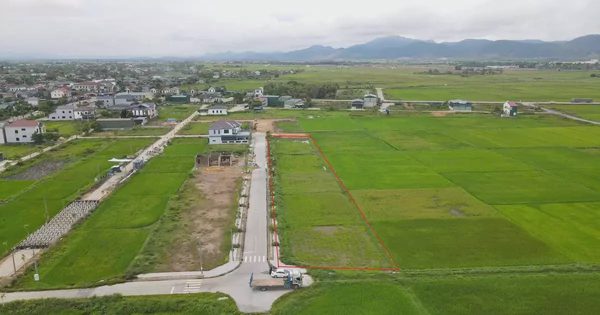 Đấu giá 2 lần không ai mua, 13 lô đất nông thôn dự kiến giảm cả tỷ đồng