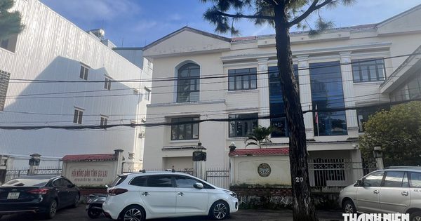 Đấu giá nhiều khu 'đất vàng' ở Gia Lai