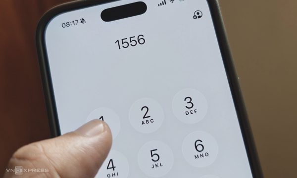 Đầu số 1556 sắp đấu giá, khởi điểm một tỷ đồng