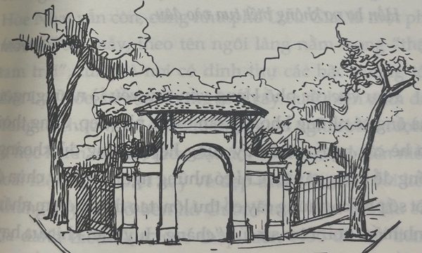 'Dấu vân tay của phố' (kỳ 1): Hà Nội xưa trồng cây gì