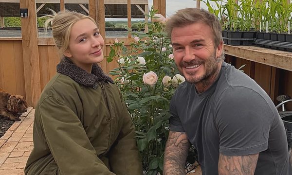 David Beckham đăng ký thương hiệu hoa hồng do con gái tặng