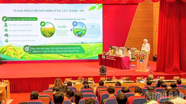 Đẩy mạnh chuyển đổi xanh, chuyển đổi số trong sản xuất lúa chất lượng cao