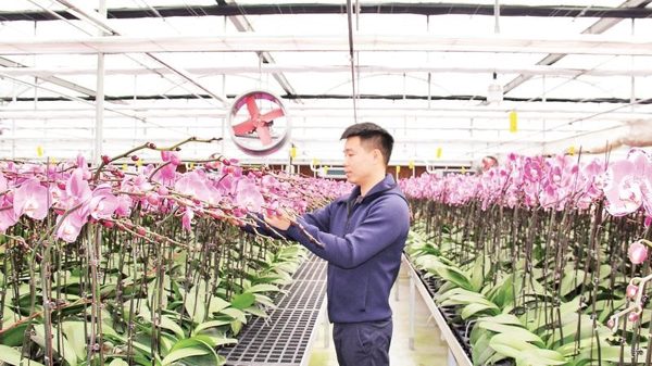 Đẩy mạnh ứng dụng công nghệ số trong sản xuất nông nghiệp