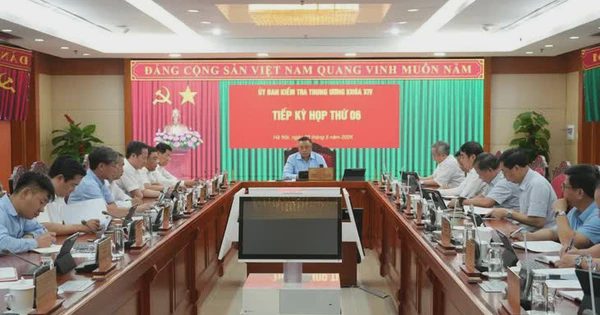 Đề nghị Ban Bí thư kỷ luật ông Sử Ngọc Anh