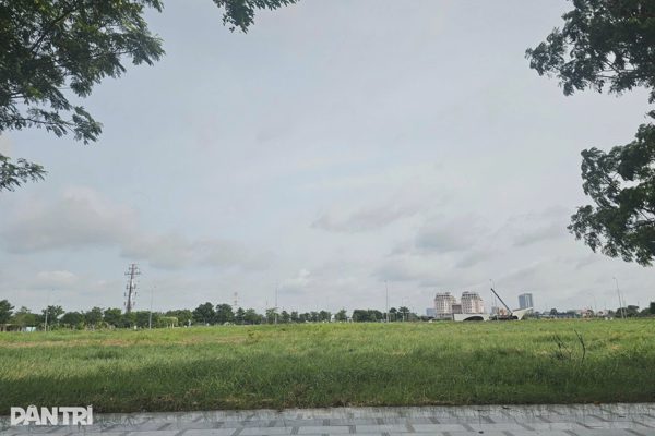 Đề xuất đánh thuế đất bỏ hoang gấp 7 lần: Thế nào được xem là bỏ hoang?