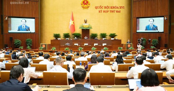 Đề xuất giảng viên trường luật được trở thành luật sư