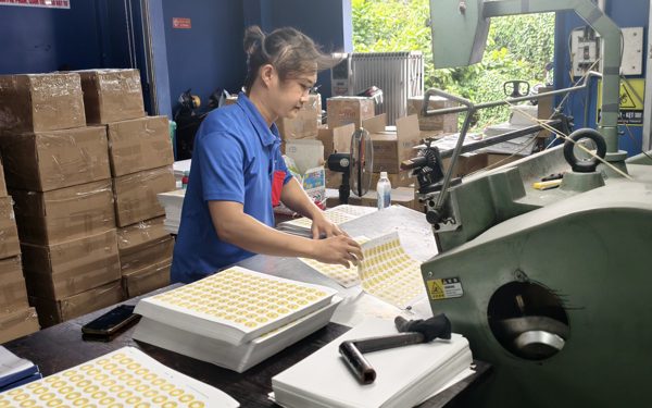 Đề xuất khung năng lực nhân lực ngành in, không bắt buộc bằng cấp hay chứng chỉ