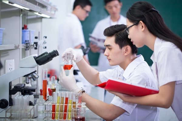 Đề xuất nhân tài được lựa chọn cộng sự, quyết định mức lương thưởng