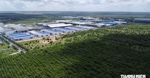 Đề xuất rà soát quy hoạch liên quan 2 cụm công nghiệp ở TP.HCM